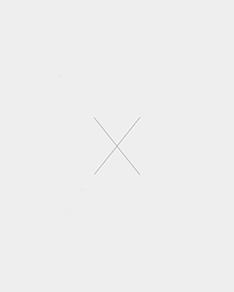 Bienestar integral